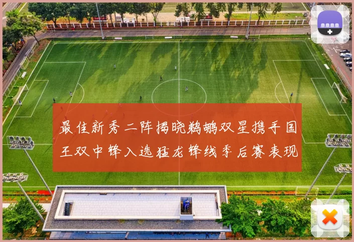 最佳新秀二阵揭晓鹈鹕双星携手国王双中锋入选猛龙锋线季后赛表现抢眼